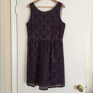 THE LIMITED - Super cute 🤗 💕Purple Lace dress💞